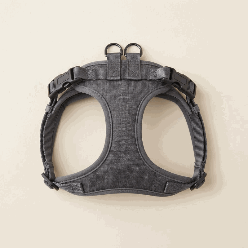 Cedar & Co. Step-In Everyday Harness